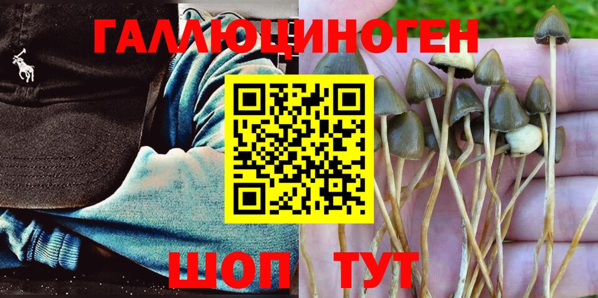 Галлюциногенные грибы прущие грибы  Галлюциногенные грибы ЛСД  Выкса  Вход с VPN 